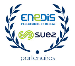 ENEDIS et SUEZ, partenaires CRD2020