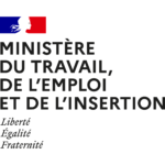 logo ministère du travail emploi insertion