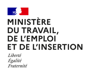 logo ministère du travail emploi insertion