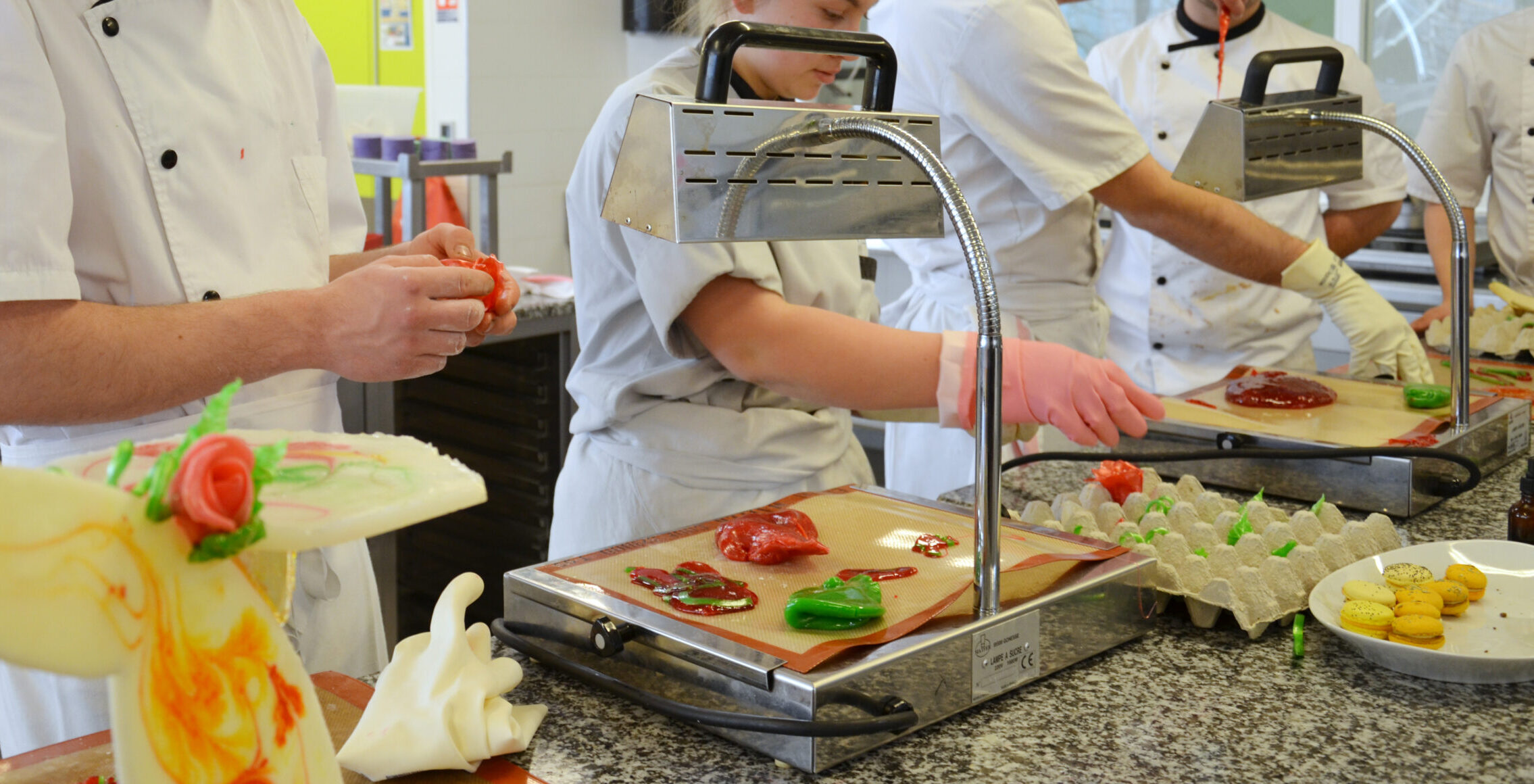 Brevet Technique des M&eacute;tiers P&acirc;tissier-Glacier-Chocolatier-Confiseur-Traiteur